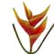 14" Mini Heliconia Artificial Flower (Set of 6)